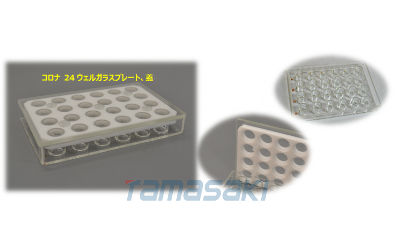 日本CORONA科罗纳Corona 24 孔玻璃板